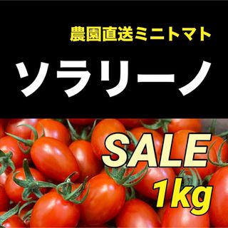 ソラリーノ　1kg　プリッとコクうま　新鮮　高糖度　ミニトマト(野菜)