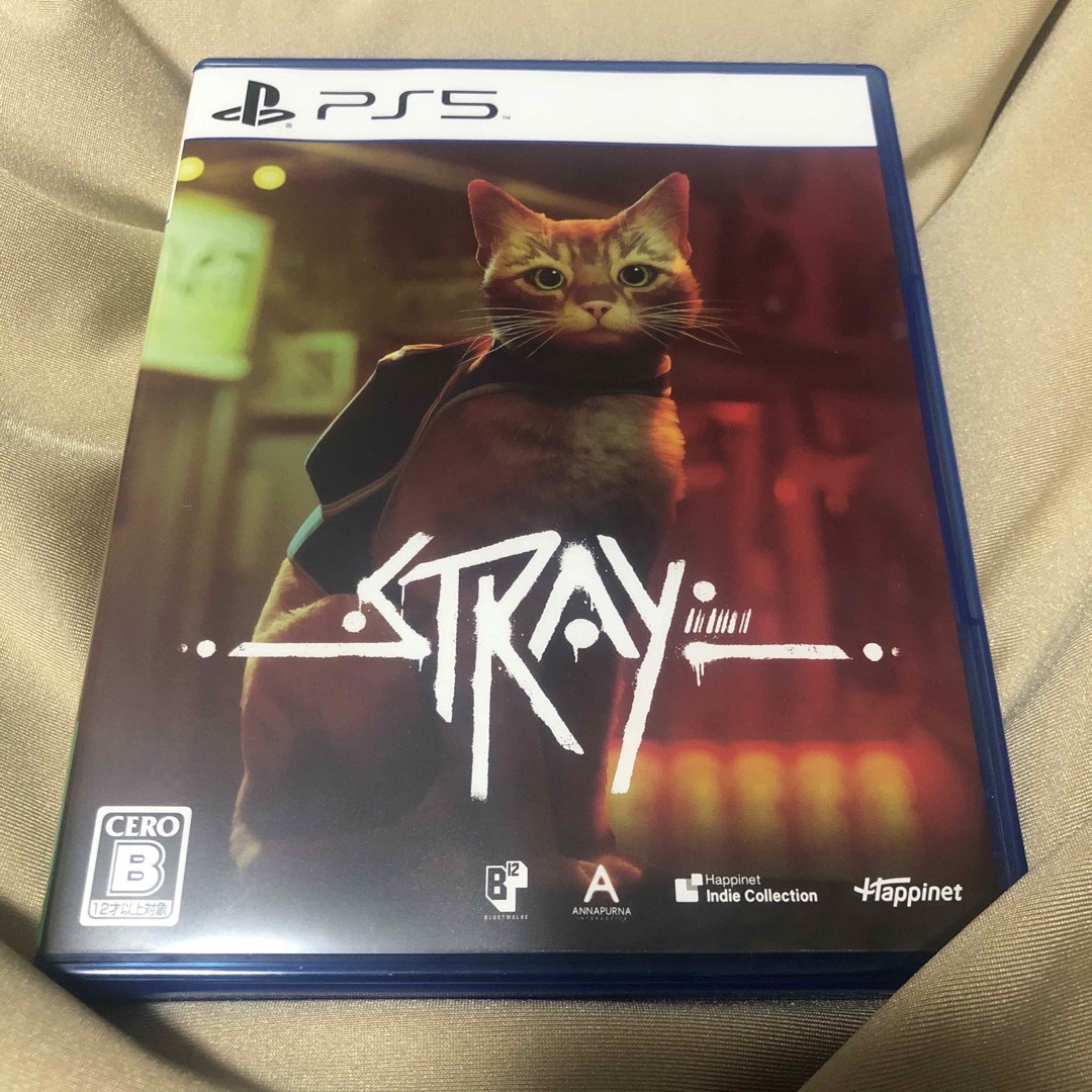 PlayStation(プレイステーション)のStray エンタメ/ホビーのゲームソフト/ゲーム機本体(家庭用ゲームソフト)の商品写真