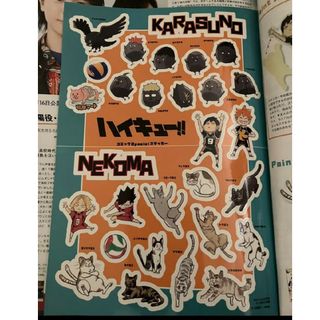 FREAK'S STORE - 【わさび様専用】InRed 7月号 付録 傘カバー&ラバー