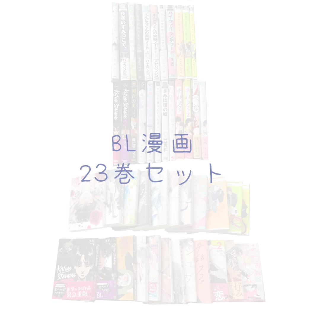 角川書店(カドカワショテン)のBL漫画まとめ売り エンタメ/ホビーの漫画(ボーイズラブ(BL))の商品写真