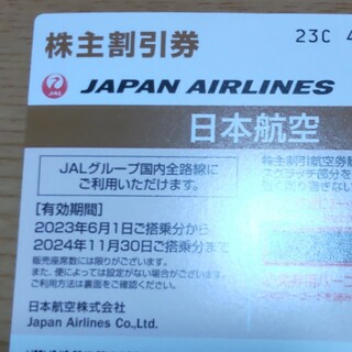 JAL株主優待券 １枚 2024年11月30日まで(航空券)