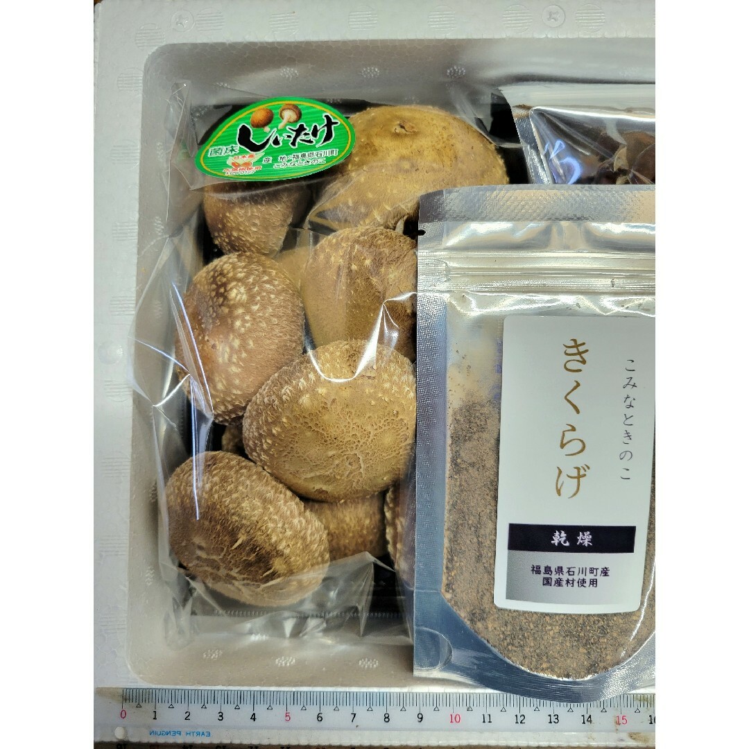 マロン様専用【大特価】国産菌床(しいたけ)(乾燥きくらげ) 食品/飲料/酒の食品(野菜)の商品写真