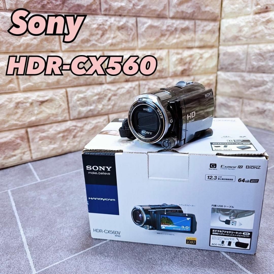 リチウムイオン電池重量SONY ソニー ビデオカメラ HDR-CX560V 現状品