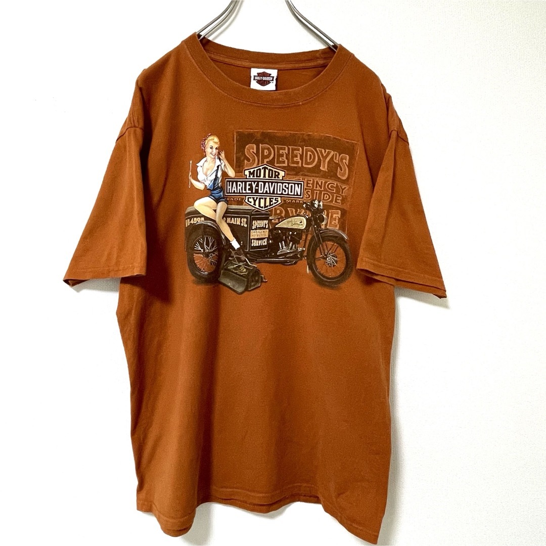 Harley Davidson(ハーレーダビッドソン)の希少ビンテージ！古着らしい風合いとUSレディデザインハーレーダビッドソンT(L) メンズのトップス(Tシャツ/カットソー(半袖/袖なし))の商品写真