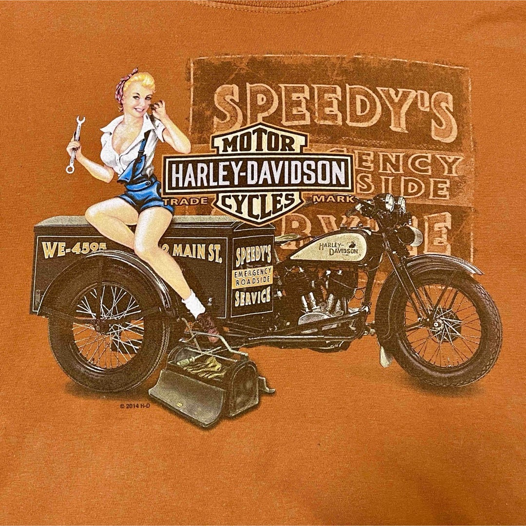 Harley Davidson(ハーレーダビッドソン)の希少ビンテージ！古着らしい風合いとUSレディデザインハーレーダビッドソンT(L) メンズのトップス(Tシャツ/カットソー(半袖/袖なし))の商品写真