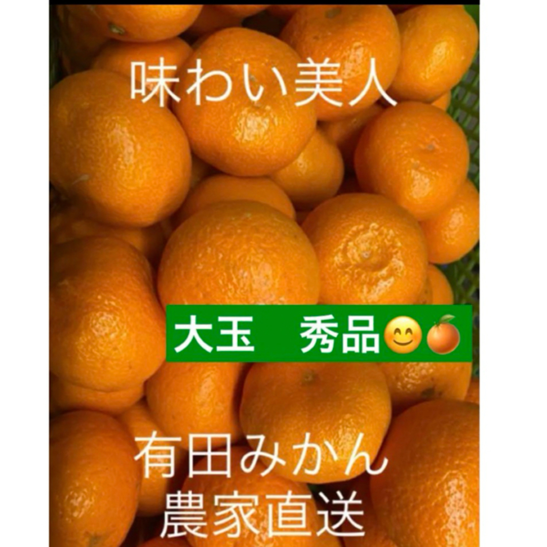 有田みかん農家直送⭐️ブランド味わい美人大玉みかん　秀品箱込み5キロ 食品/飲料/酒の食品(フルーツ)の商品写真