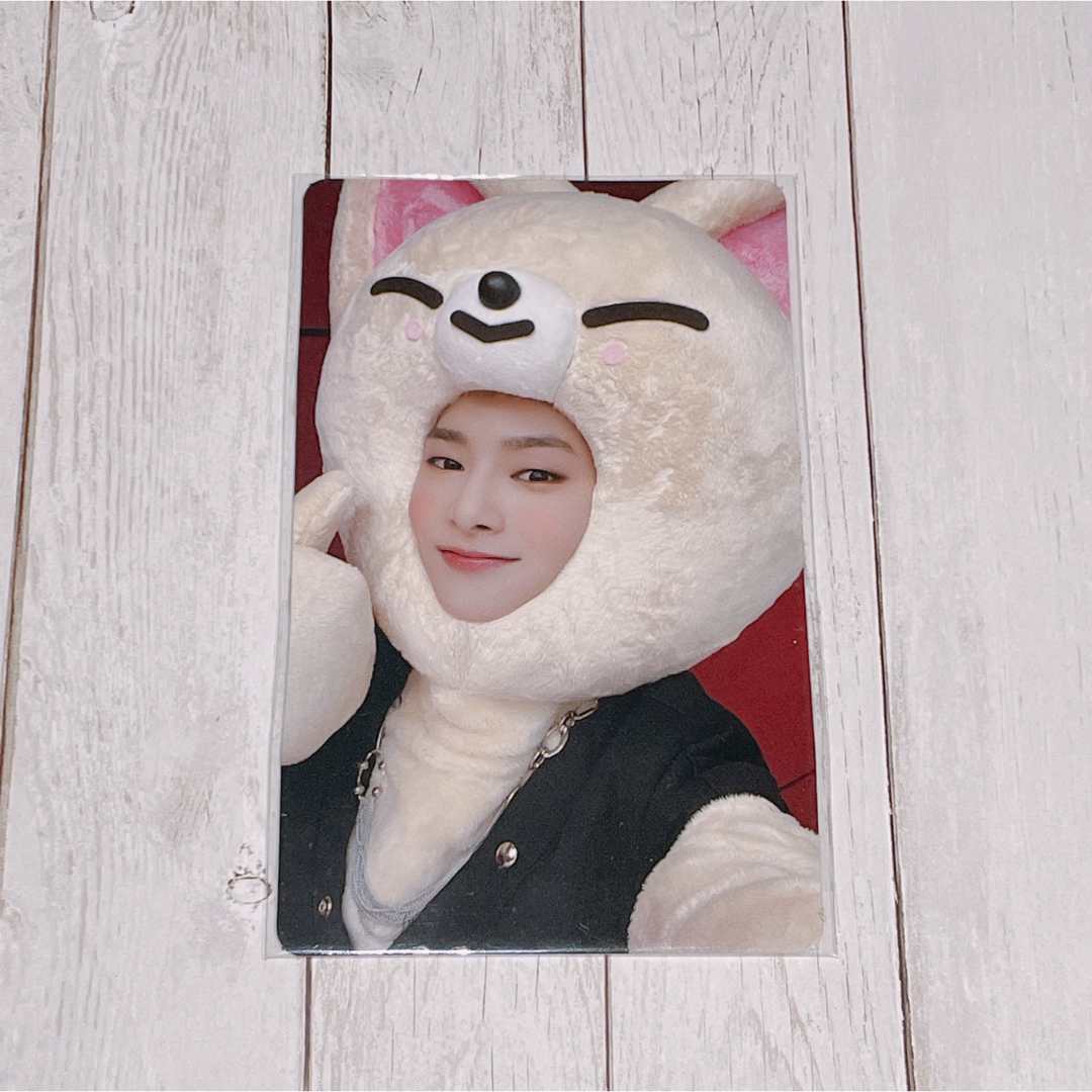 Stray Kids - straykids スキズ skzoo アイエン トレカ 未開封 Stray Kids - straykids スキズ skzoo アイエン トレカ 未開封