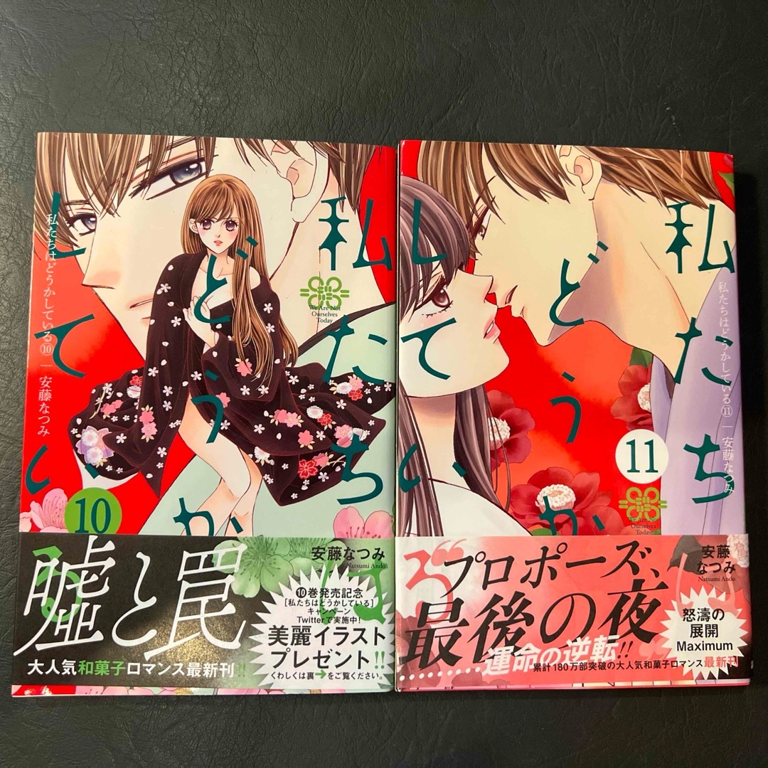 講談社(コウダンシャ)の私たちはどうかしているコミッス 10.11巻 エンタメ/ホビーの漫画(少女漫画)の商品写真