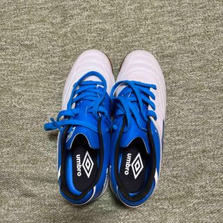 アンブロ(UMBRO)のアンブロ　フットサル用シューズ　23.5センチ(シューズ)