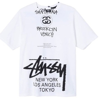 STUSSY ステューシー 80S USA製 OLD WORLD TOUR 黒タグ オールド ワールドツアー 半袖Tシャツ グレー