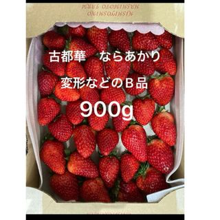 B品　900g以上　古都華　ならあかり　奈良県　橋本農園　訳あり　いちご(フルーツ)