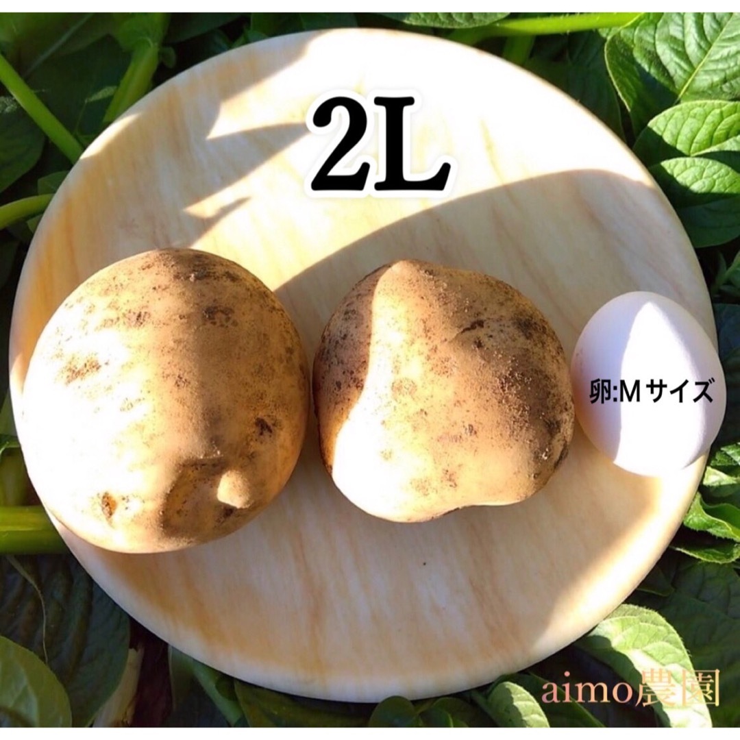 【掘りたて】種子島産  新じゃがいも  M・L・2Lサイズ 3kg (箱別) 食品/飲料/酒の食品(野菜)の商品写真