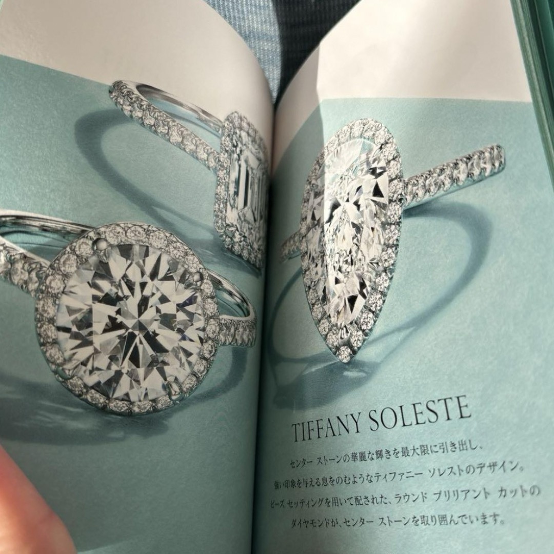 Tiffany & Co.(ティファニー)のティファニーショッパーBookセット レディースのバッグ(ショップ袋)の商品写真