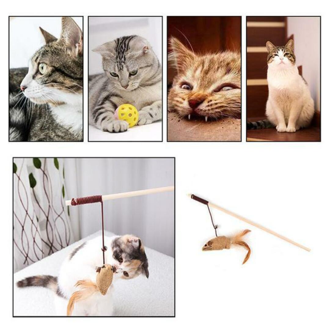 【並行輸入】ネコ 遊び道具 じゃらしボックス その他のペット用品(猫)の商品写真