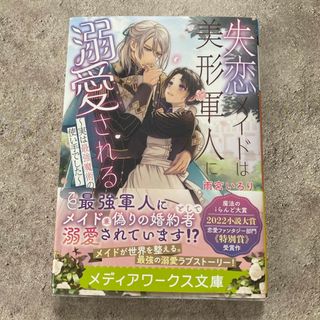 失恋メイドは美形軍人に溺愛される～実は最強魔術の使い手でした～(文学/小説)