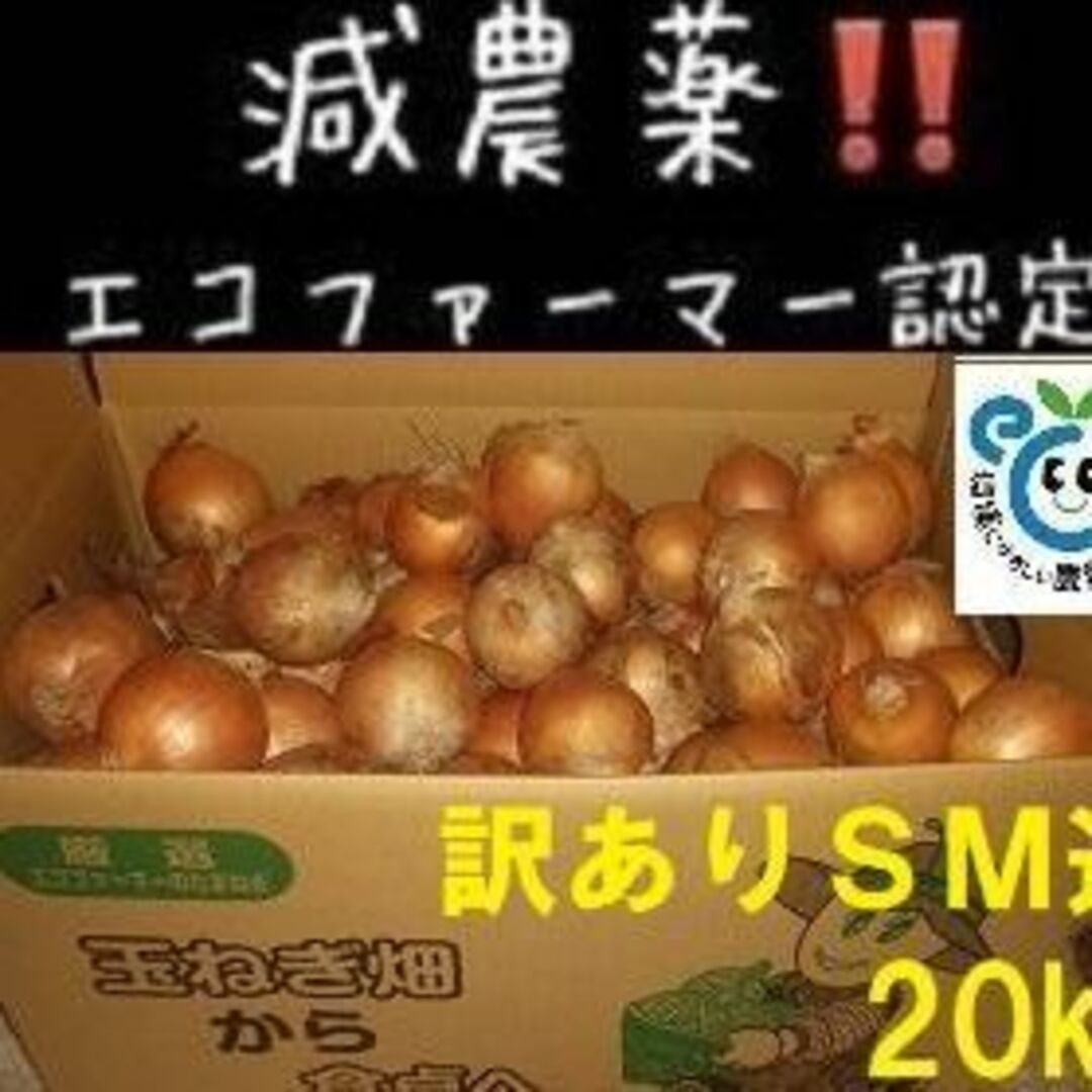 訳あり北海道産 玉ねぎ S･M込 20kg 食品/飲料/酒の食品(野菜)の商品写真