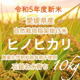 令和5年度★自然栽培天日干し米ヒノヒカリ10㌔(米/穀物)