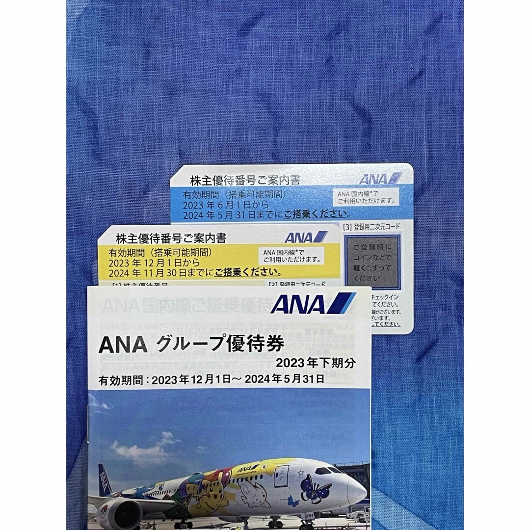 ANA(全日本空輸)(エーエヌエー(ゼンニッポンクウユ))のANA株主優待券　グループ優待券付冊子付き チケットの優待券/割引券(その他)の商品写真