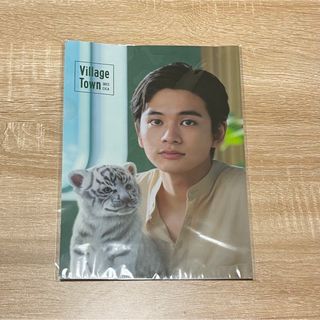 ディッシュ(DISH//)の【即購入可】VT ブイティー 北村匠海 限定 ファイル 新品未開封(男性タレント)