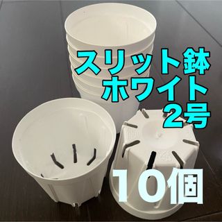 スリット鉢白★2号★直径6センチ★新品(プランター)