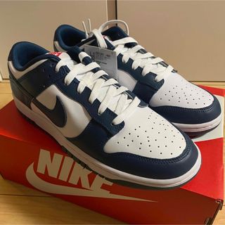 ナイキ(NIKE)のNike Dunk Low Valerian Blue 29cm(スニーカー)