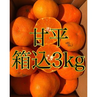 愛媛県産 ミカン 家庭用 甘平 箱込3kg 柑橘 果物みかん(フルーツ)