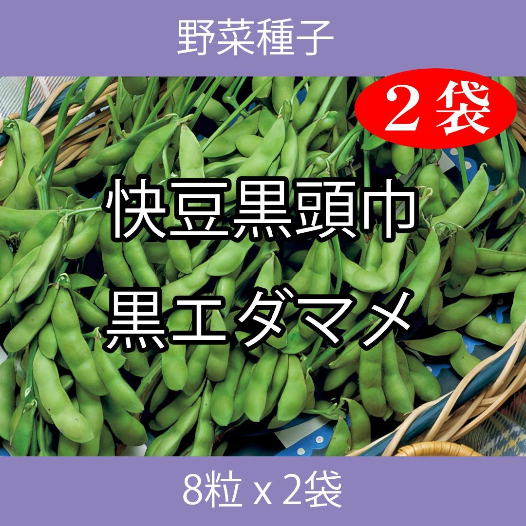 野菜種子 TVK08 快豆黒頭巾黒エダマメ 8粒 x 2袋 食品/飲料/酒の食品(野菜)の商品写真