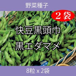 野菜種子 TVK08 快豆黒頭巾黒エダマメ 8粒 x 2袋(野菜)