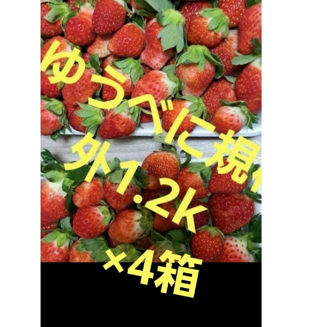 ゆうべに規格外❤1.5キロ×4箱クール便送料込14000→10000→9000