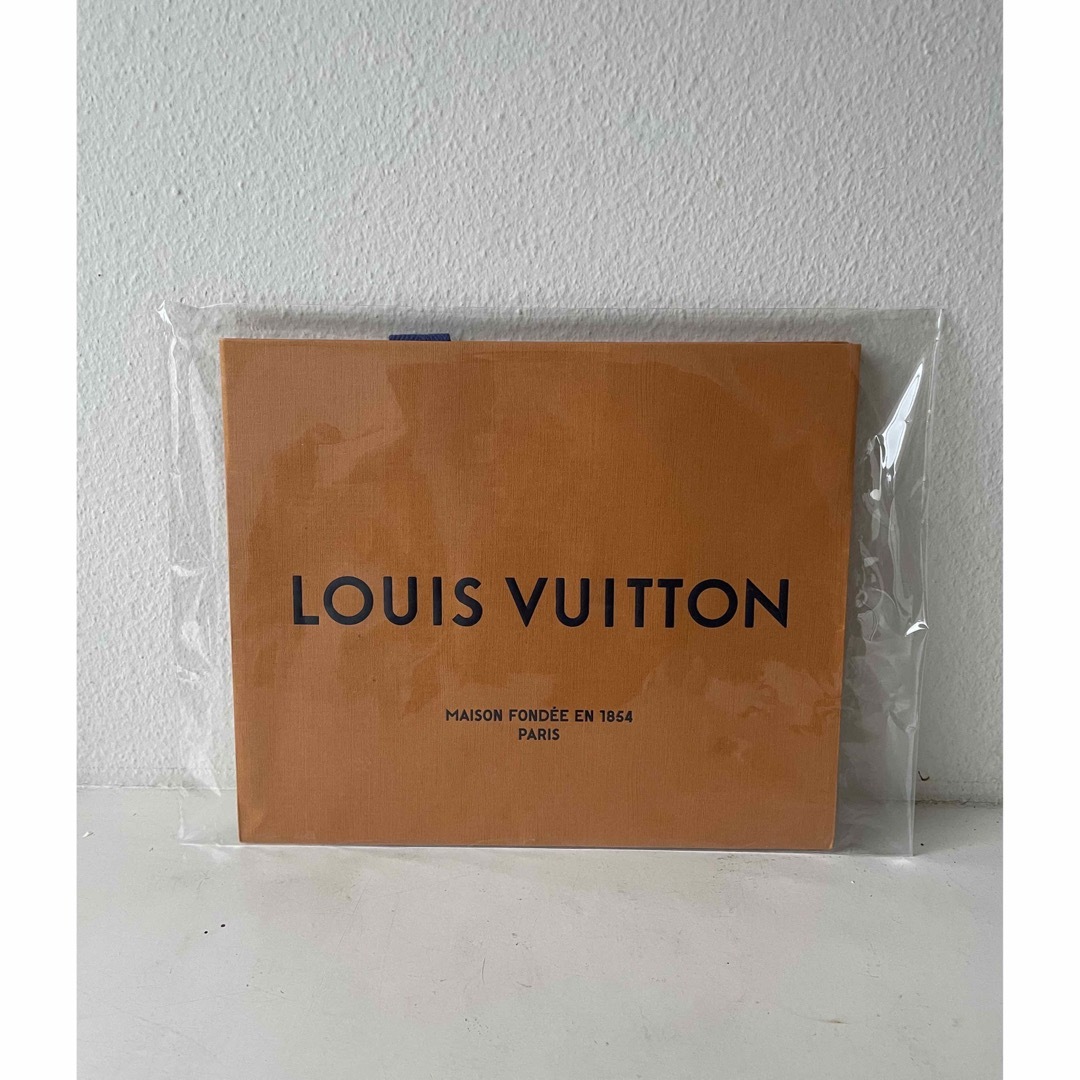 LOUIS VUITTON(ルイヴィトン)のルイヴィトンショップ袋 レディースのバッグ(ショップ袋)の商品写真