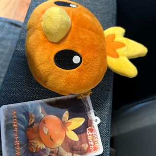 ポケモン - ポケットモンスター アチャモポーチの通販 by ayaaak's