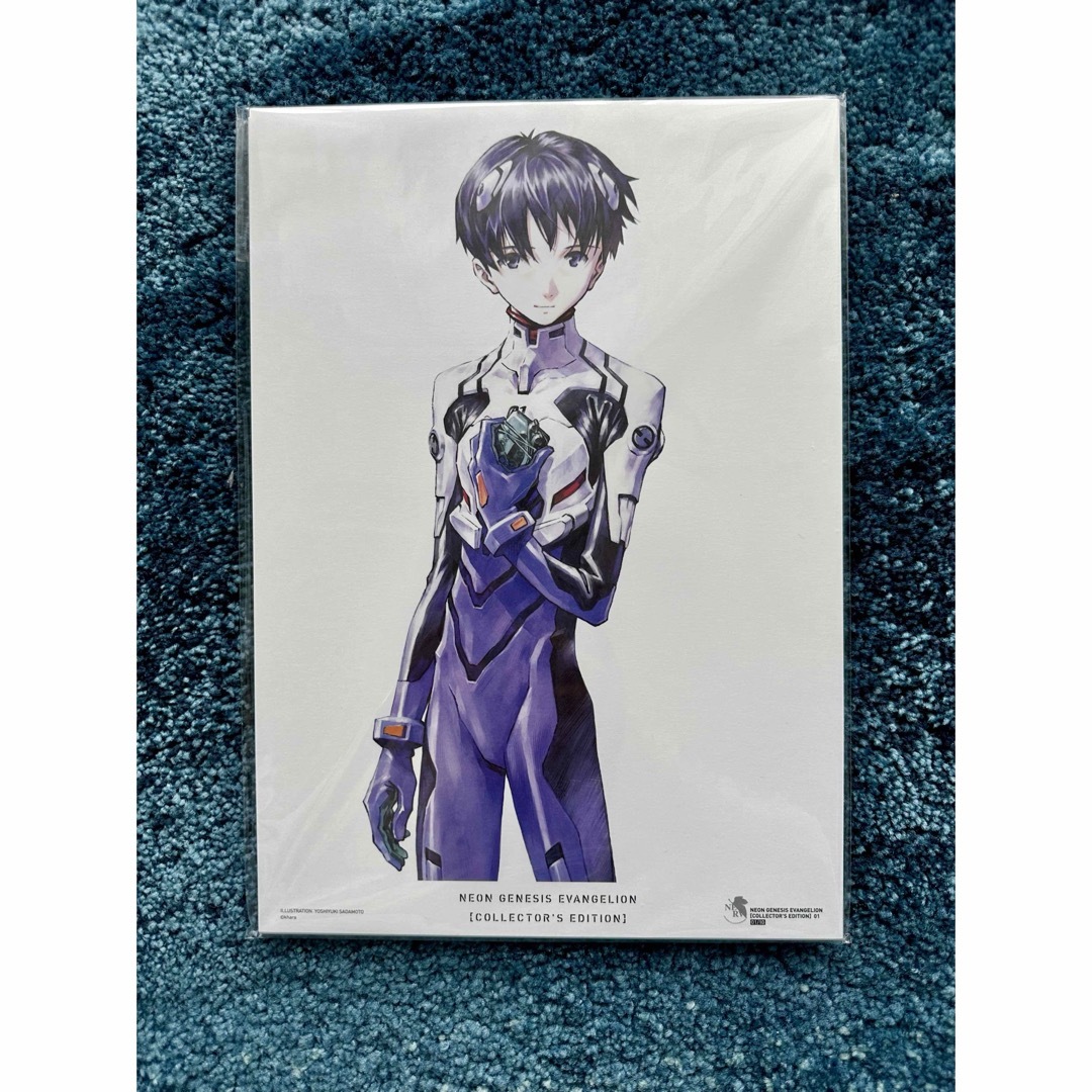 新世紀エヴァンゲリオン【愛蔵版】全7巻 未開封品 新世紀エヴァンゲリオン【愛蔵版】全7巻 未開封品