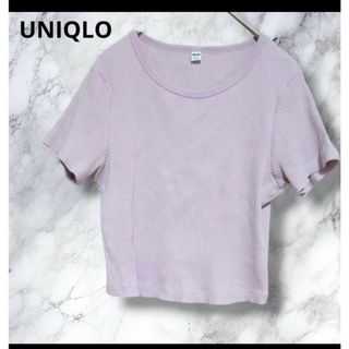 UNIQLO　ユニクロ　L コットンリブクルーネッククロップドT シャツ　薄紫(Tシャツ(半袖/袖なし))