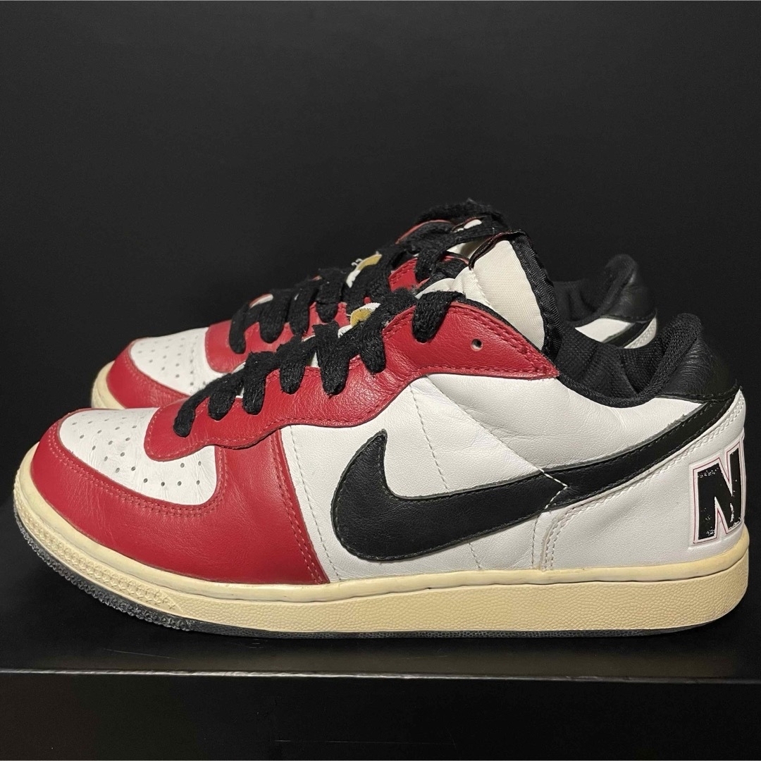 NIKE(ナイキ)のNIKE TERMINATOR LOW CHICAGO メンズの靴/シューズ(スニーカー)の商品写真