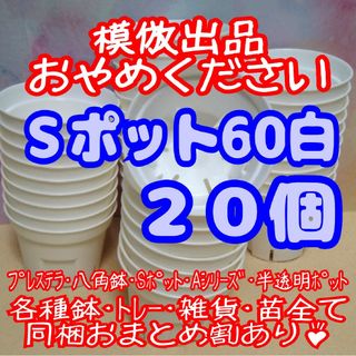 《Sポット60》白 20個 スリット鉢 プラ鉢 2号鉢相当 多肉植物 プレステラ(プランター)