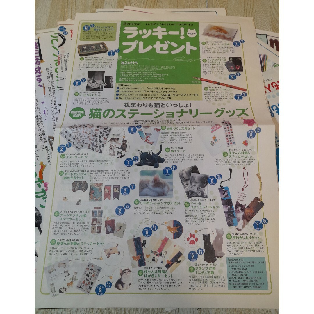 Benesse(ベネッセ)のねこのきもち ふろく 新聞 その他のペット用品(猫)の商品写真