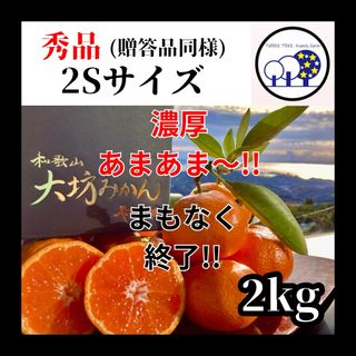 ①早い者勝ちありがとうセール!早生温州みかん「樹熟大坊みかん」秀品10Kg 柑橘