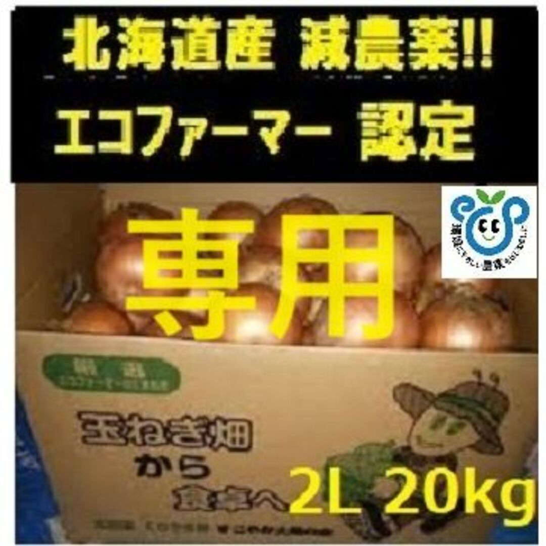 グレムリン様 専用北海道産 玉ねぎ  食品/飲料/酒の食品(野菜)の商品写真