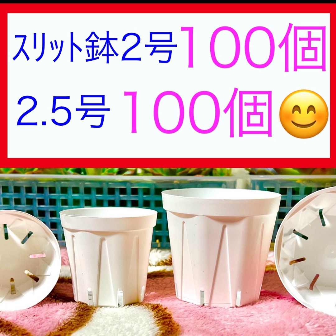 H②⑦  ｽﾘｯﾄ鉢お得セット★ﾎﾜｲﾄ【2号100個】【2.5号100個】 ハンドメイドのフラワー/ガーデン(プランター)の商品写真