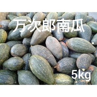 万次郎かぼちゃ　５kg　３〜４玉　1(野菜)