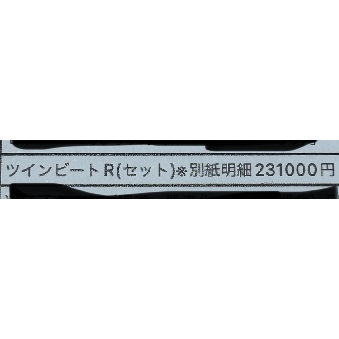 【yupi様専用】ITO ツインビートR スマホ/家電/カメラの美容/健康(ボディケア/エステ)の商品写真