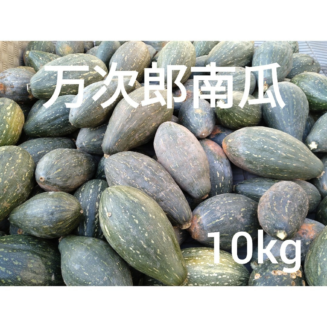 万次郎かぼちゃ　１０kg　６〜８玉　1 食品/飲料/酒の食品(野菜)の商品写真