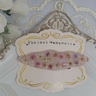 25ハンドメイド　レジン　ドライフラワーヘアクリップ(ヘアアクセサリー)