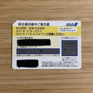 エーエヌエー(ゼンニッポンクウユ)(ANA(全日本空輸))のANAの株主優待１枚(航空券)