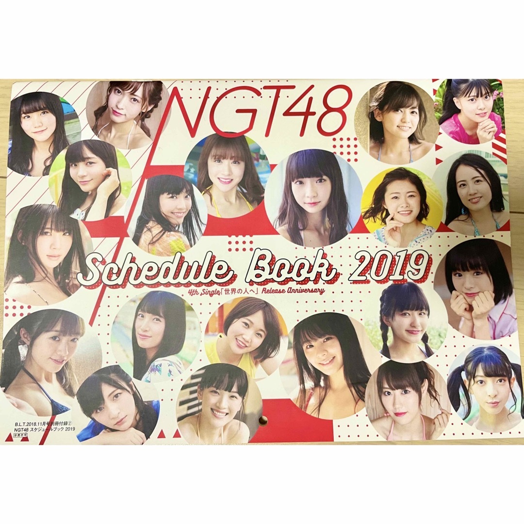 NGT48(エヌジーティーフォーティーエイト)のNGT48 2019年カレンダー BLT付録 エンタメ/ホビーのタレントグッズ(アイドルグッズ)の商品写真