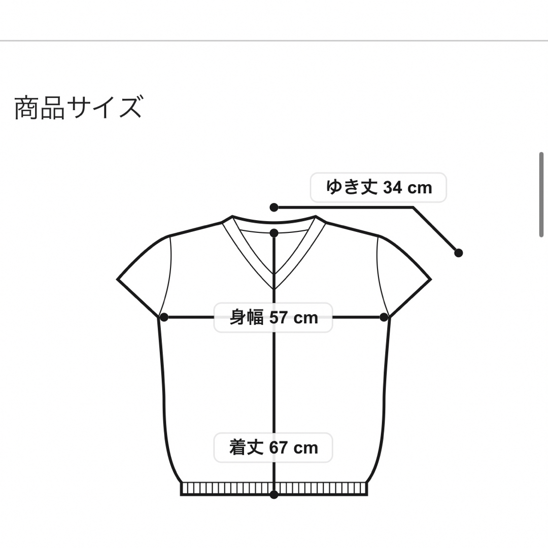 SCOT CLUB(スコットクラブ)のヤマダヤ ヴァン スターモチーフシアープルオーバー レディースのトップス(カットソー(半袖/袖なし))の商品写真