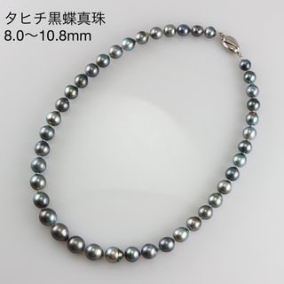 SV　タヒチ　黒蝶真珠　セミラウンド　パールネックレス　8.0〜10.8mm(ネックレス)