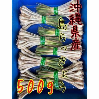 農家直送　沖縄県産　島らっきょう　500g 土・根付(野菜)