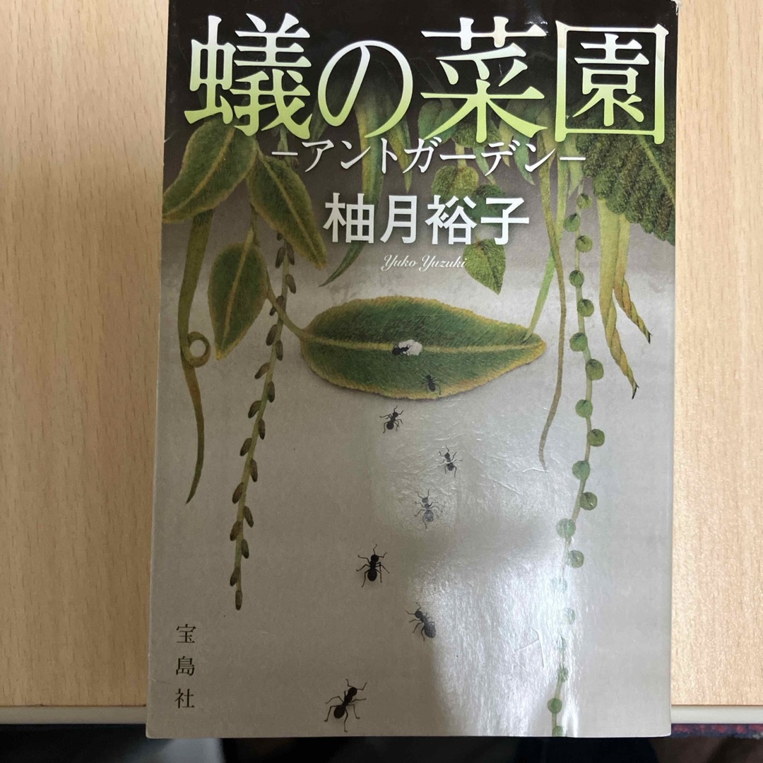 蟻の菜園 エンタメ/ホビーの本(文学/小説)の商品写真
