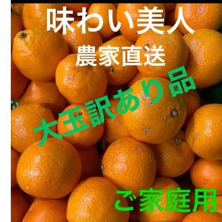 ブラックセール！！家庭用味濃い小玉まどんな 高糖度 満腹マドンナ ...